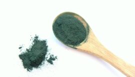 cuillère de poudre de spiruline