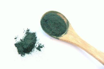 cuillère de poudre de spiruline