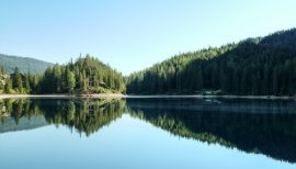 lac entouré de forêts