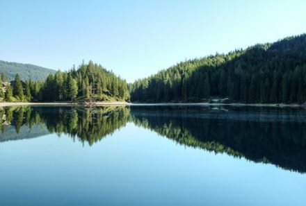 lac entouré de forêts