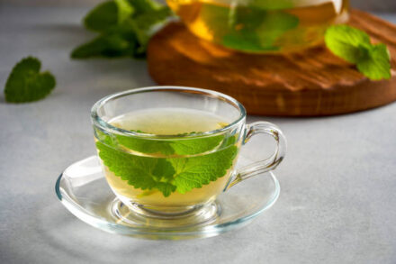 tisane à la menthe fraiche