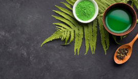 bol rempli de spiruline en poudre