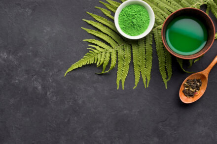 bol rempli de spiruline en poudre